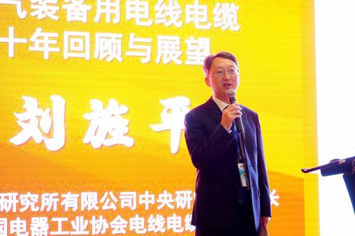 電氣裝備用電線電纜十年回顧與展望